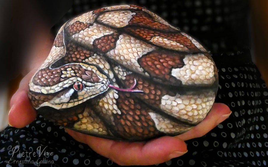 Serpente dipinto su sasso