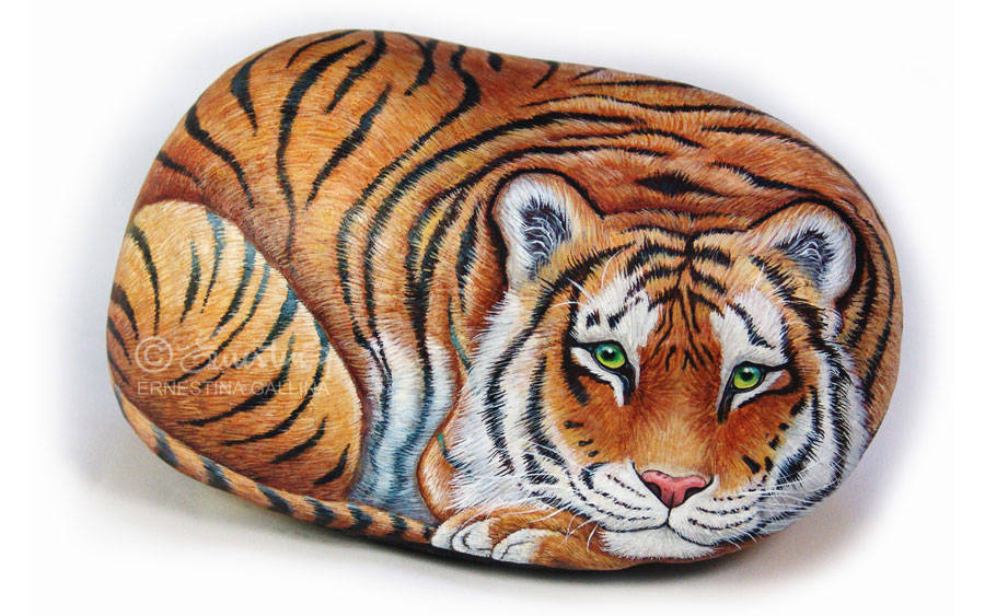 Tigre dipinta su sasso tutto intorno