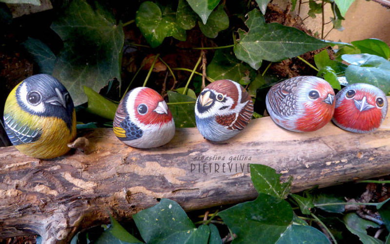 Uccellini varietà, dipinti sui sassi