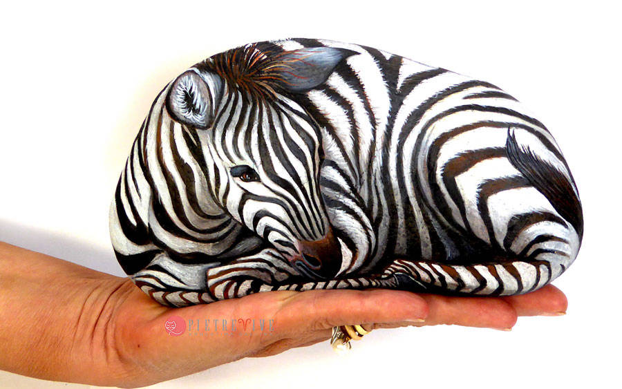 Zebra sasso dipinto stone painting arte