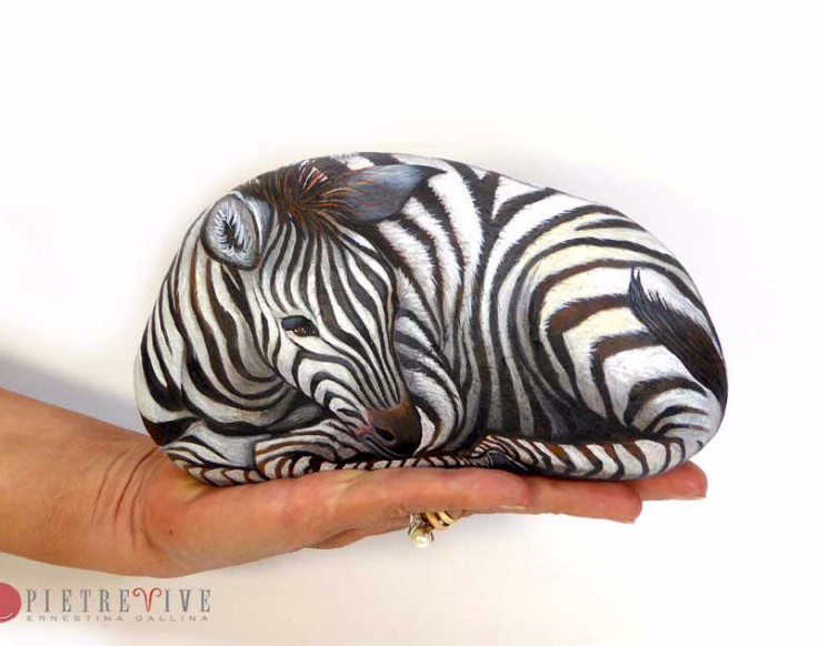 Zebra dipinta su sasso,painted stone