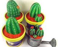 cactus dipinti su sasso, lezione pdf