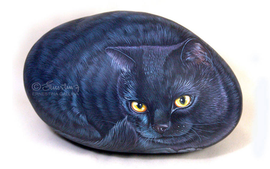 Ritratto di gatto nero su sasso grande