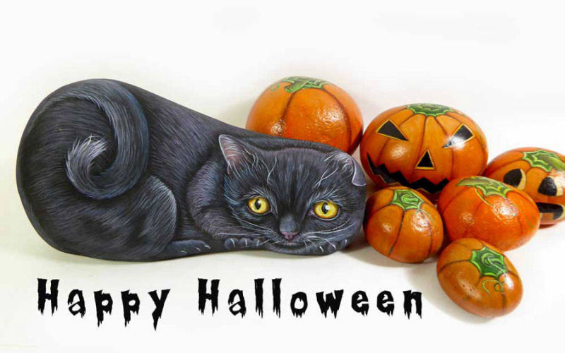 Halloween zucche- gatto