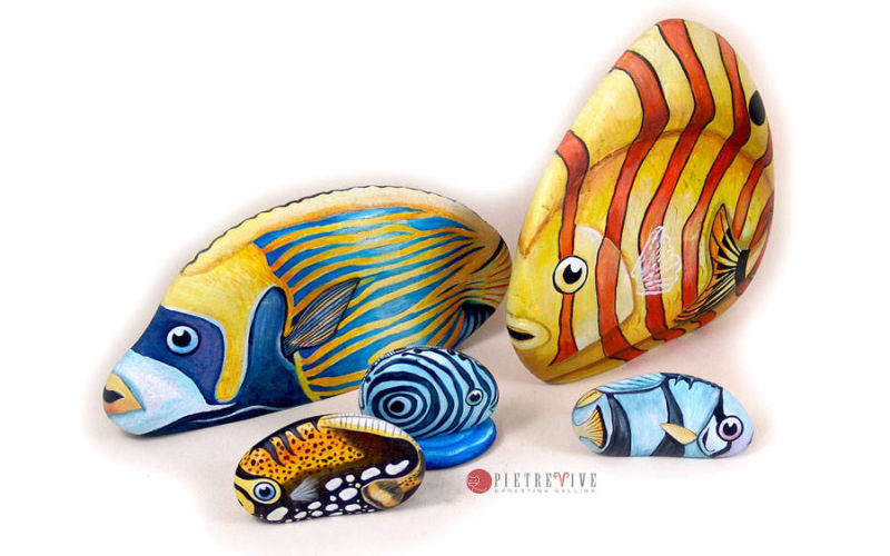 Pesci colorati dipinti su sassi
