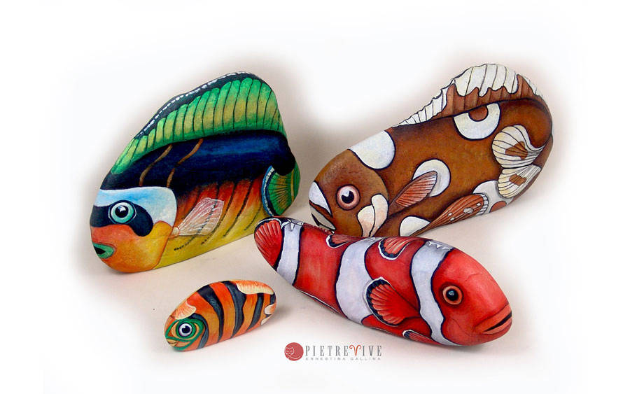 Pesci tropicali dipinti sassi colorati