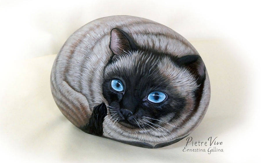 ritratto di gatto siamese dipinto su sasso